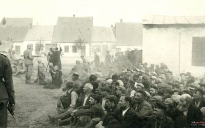 Zvi Faingenbaum, Iłża początek plagi